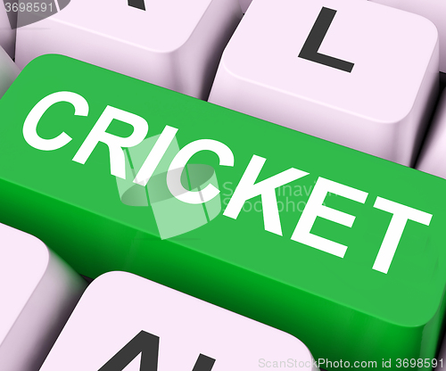 Image of Cricket Key Means Sport Or Match\r