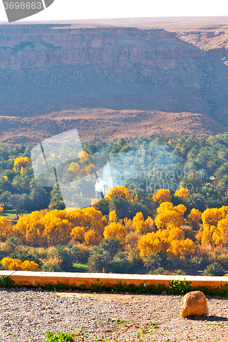 Image of in   valley  morocco  africa the atlas smoke yellow