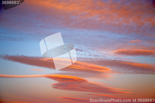 Image of   in the colored sky white soft  and   background