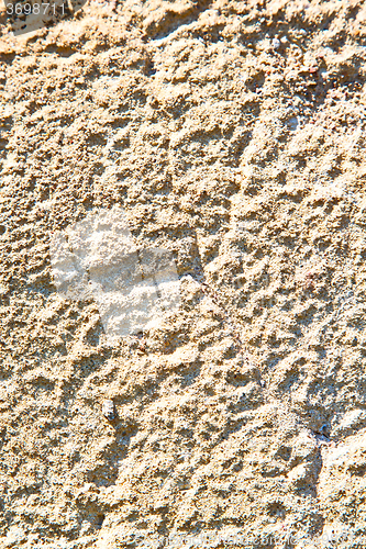 Image of pink in europe  old wall and   yellow     color