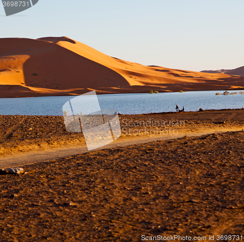 Image of sunshine in the lake yellow  desert of morocco sand and     dune