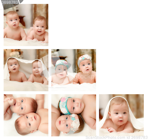 Image of Newborn baby collage