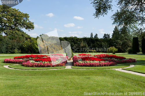 Image of flower in garden