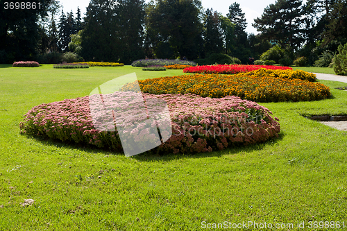 Image of flower in garden