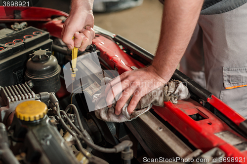 Image of Checking for engine oil on a car
