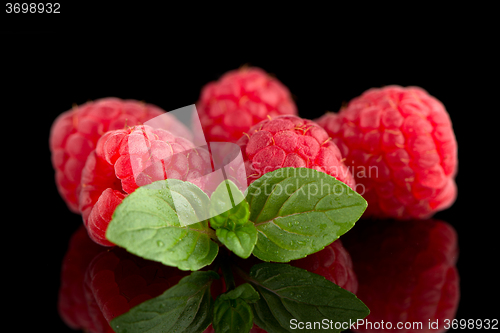 Image of Raspberries with leaves