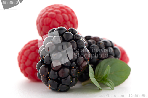 Image of Raspberry with blackberry 