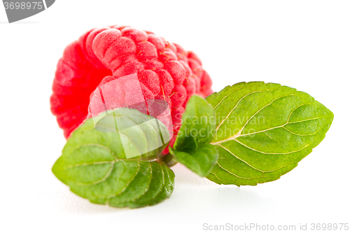 Image of Raspberries with leaves