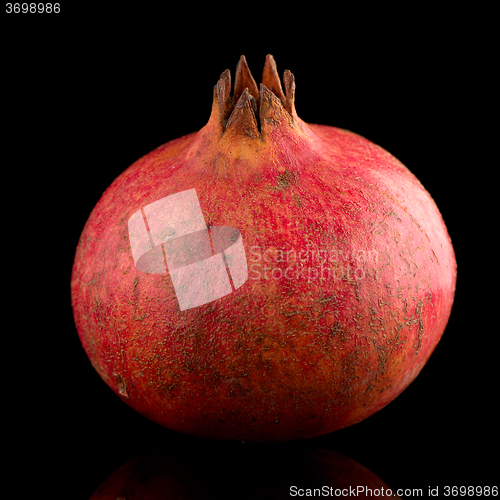 Image of Ripe pomegranate fruit