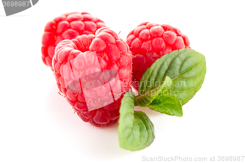 Image of Raspberries with leaves