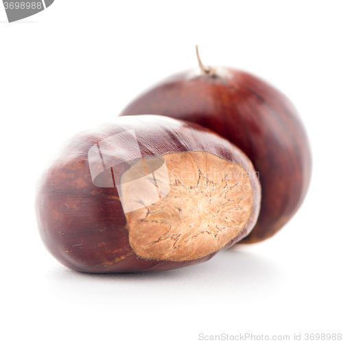 Image of Chestnuts with shell 