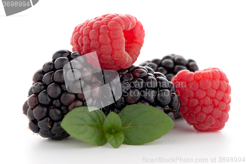 Image of Raspberry with blackberry 