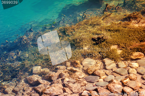 Image of A fragment of the rocky bottom of a mountain lake.