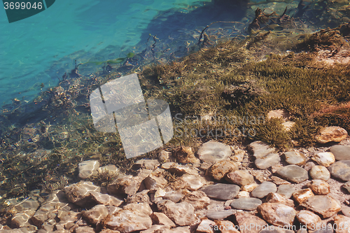 Image of A fragment of the rocky bottom of a mountain lake.