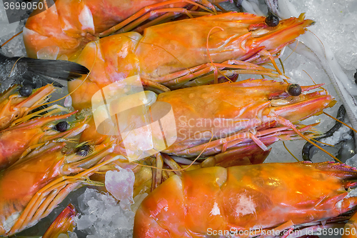 Image of Large Mediterranean prawns .