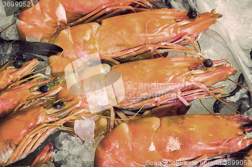 Image of Large Mediterranean prawns .