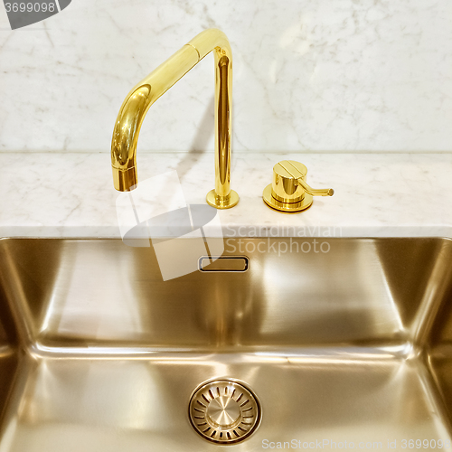 Image of Kitchen sink with golden faucet