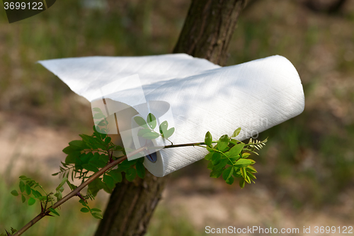 Image of Paper towel roll waving in the wind in forest at sun day