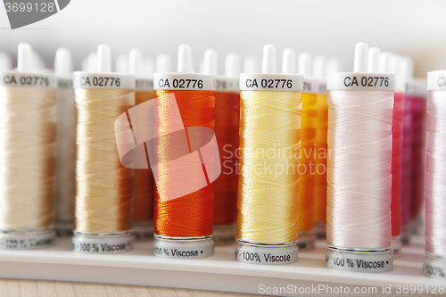Image of many roles sewing thread