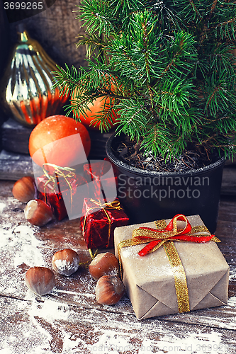 Image of Christmas tree in pot 