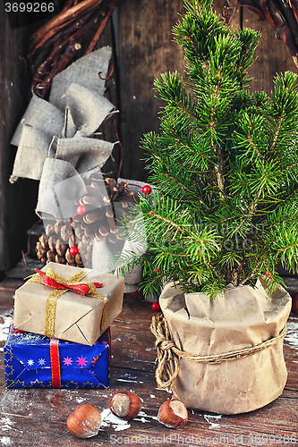 Image of Christmas tree in pot 