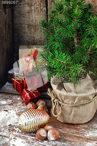 Image of Christmas tree in pot 