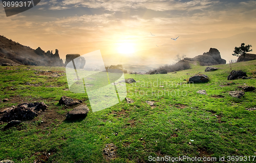 Image of Meadow in valley