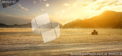 Image of Field in desert