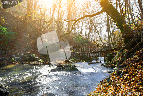 Image of Mountain river and bridge