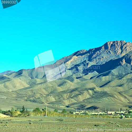 Image of bush  in    valley  morocco     africa the atlas dry mountain  