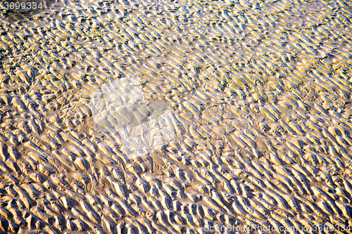 Image of dune  africa brown  wet sand   near atlantic ocean