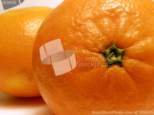 Image of oranges