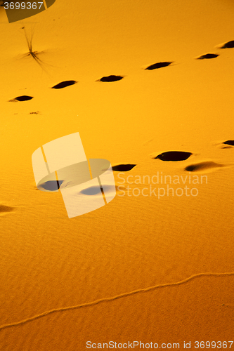 Image of red footstep  brown sand dune in the sahara  