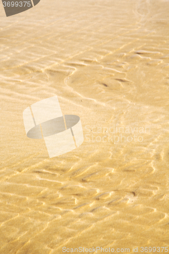 Image of dune morocco in africa  near atlantic  