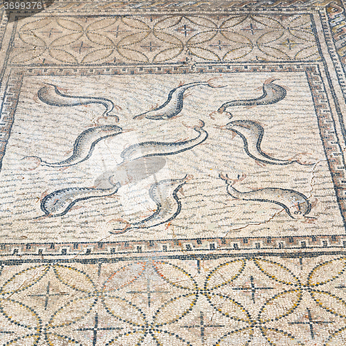 Image of roof mosaic in the old city dolphin  travel