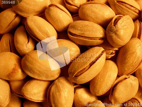 Image of pistachio