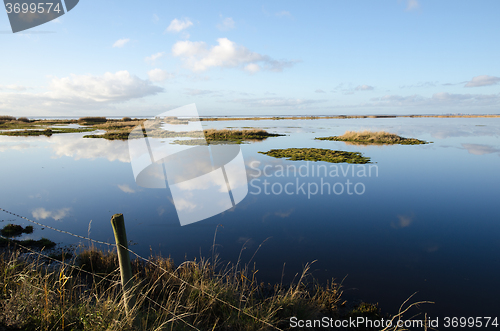 Image of Calm wetland