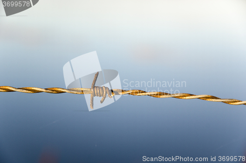 Image of Barb wire detail