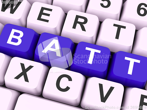 Image of Batt Keys Shows Battery Or Batteries Charge