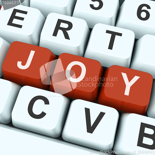 Image of Joy Key Shows Fun Or Happiness\r