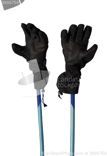 Image of Winter sport gloves on ski poles