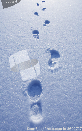 Image of Footprints in snow