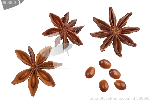 Image of Star Anise