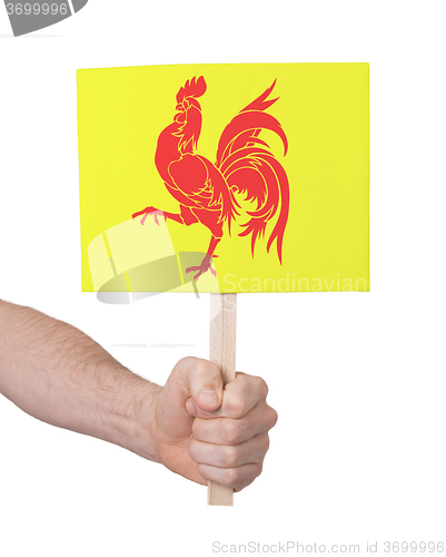 Image of Hand holding small card - Flag of Wallonia