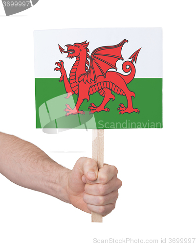 Image of Hand holding small card - Flag of Wales