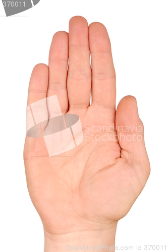 Image of Hand