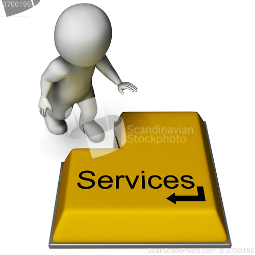Image of Services Button Showing Assistance Or Maintenance