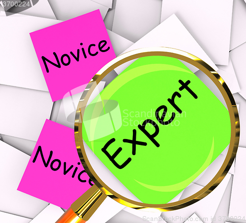 Image of Novice Expert Post-It Papers Mean Amateur Or Skilled