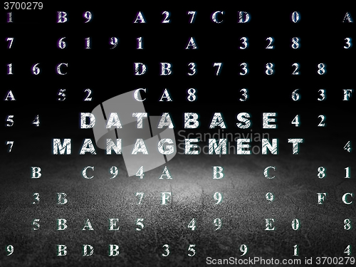 Image of Software concept: Database Management in grunge dark room