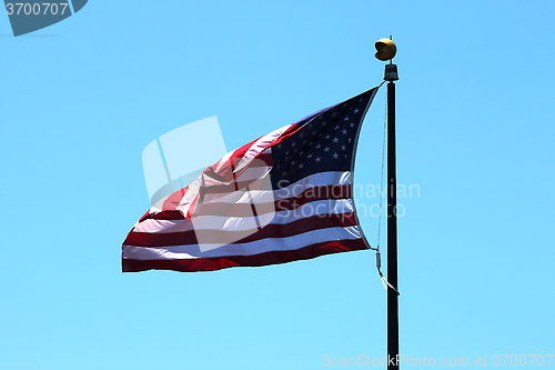 Image of  USA Flag